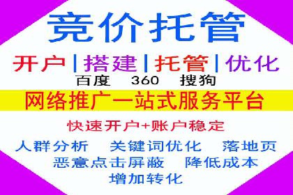 成功案例：专业SEM托管服务助力企业抢占行业制高点